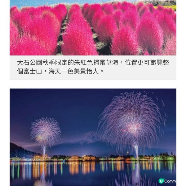 河口湖紅葉祭兼賞富士山必影紅 葉迴廊夜間點燈