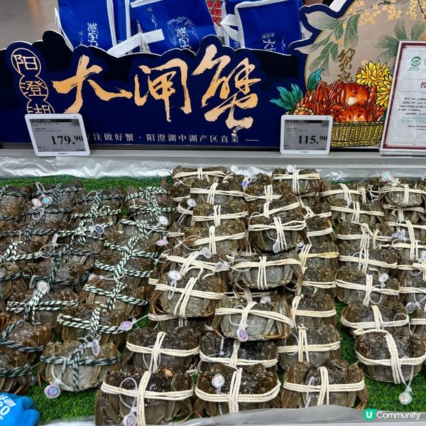 大閘蟹公定乸好食？