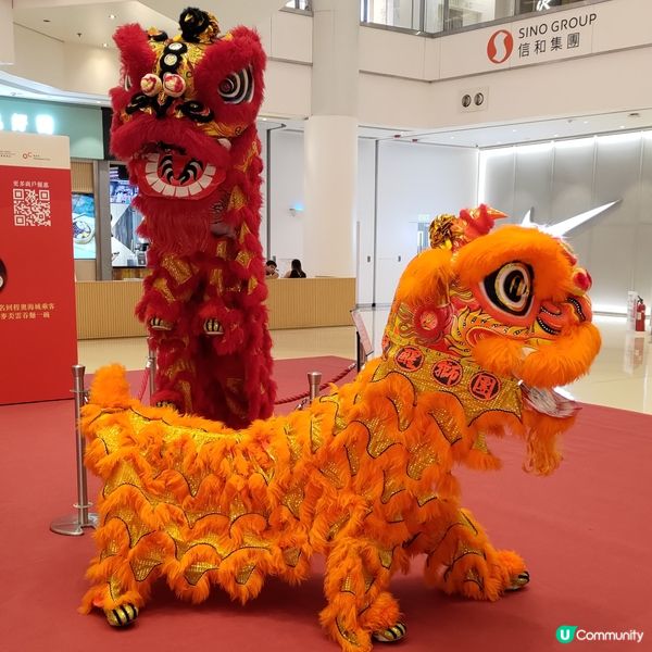 奧海城打卡熱點🤩夜光龍+醒獅表演🏮