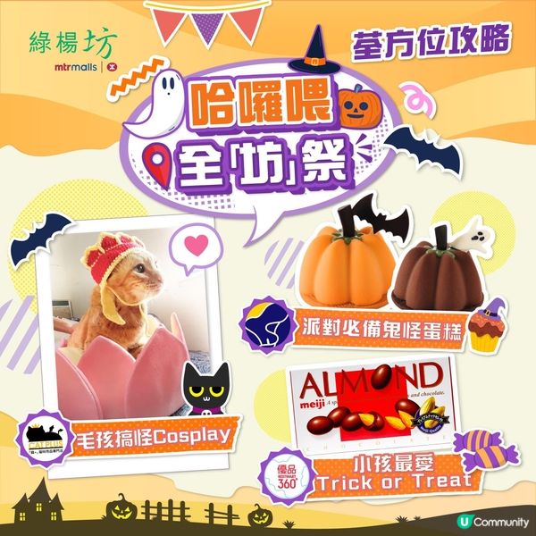 ✨🌟 【荃方位攻略】綠楊哈囉喂🎃​