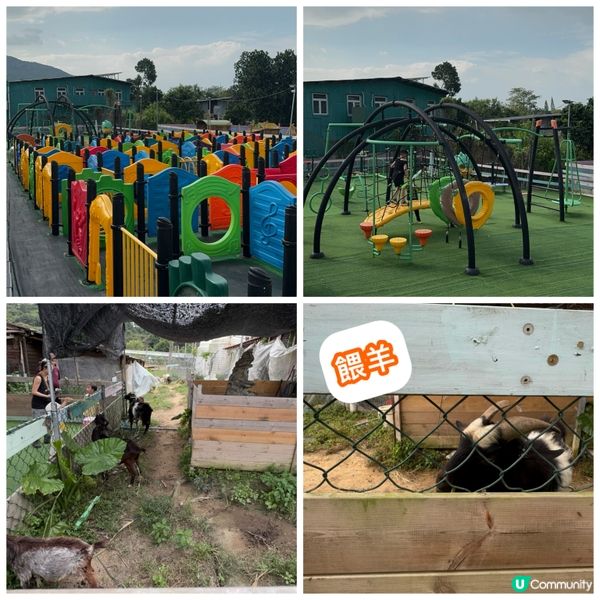 元朗大棠開心花園農莊 👨‍👩‍👧‍👦 秋風起BBQ，一家大細去玩啦