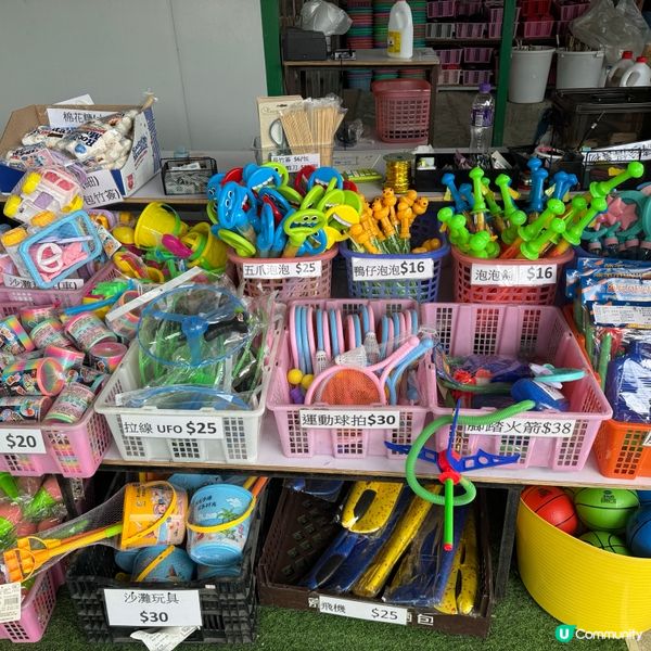 元朗大棠開心花園農莊 👨‍👩‍👧‍👦 秋風起BBQ，一家大細去玩啦