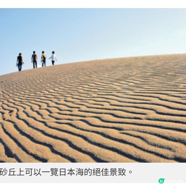 日本米子直航開催直擊沙丘風情 歎即捕鮮味紅楚蟹