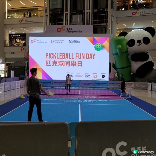 ## 新興運動體驗日🔥匹克球超好玩🎾💜