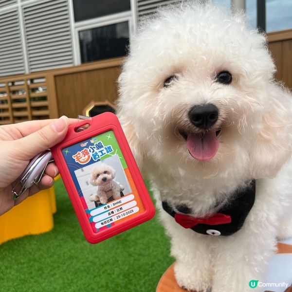 🐶孝順仔出動！💪幫媽咪分擔工作！