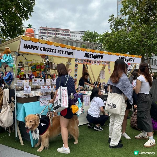 🐶孝順仔出動！💪幫媽咪分擔工作！