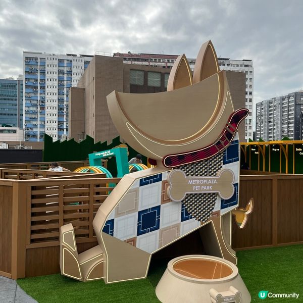 🐶孝順仔出動！💪幫媽咪分擔工作！