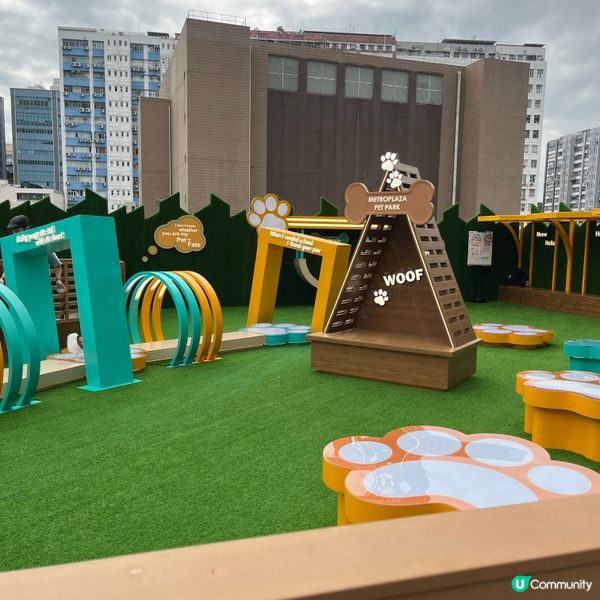 🐶孝順仔出動！💪幫媽咪分擔工作！