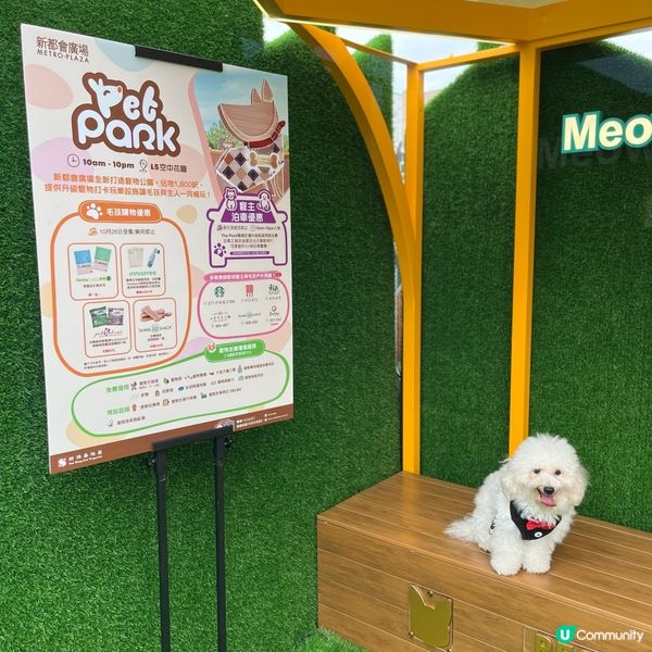 🐶孝順仔出動！💪幫媽咪分擔工作！