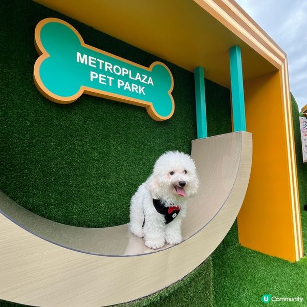 🐶孝順仔出動！💪幫媽咪分擔工作！