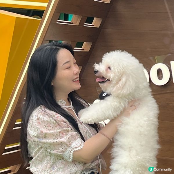 🐶孝順仔出動！💪幫媽咪分擔工作！