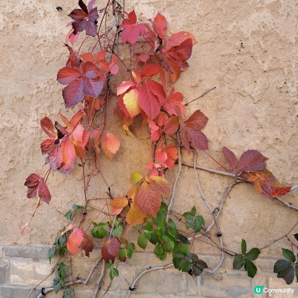長城腳下的紅葉小鎮🍁--北京古北水鎮🍂
