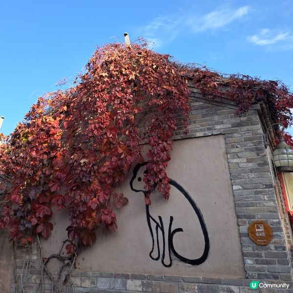 長城腳下的紅葉小鎮🍁--北京古北水鎮🍂