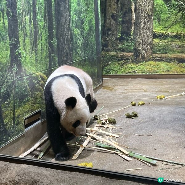 東京上野動物園