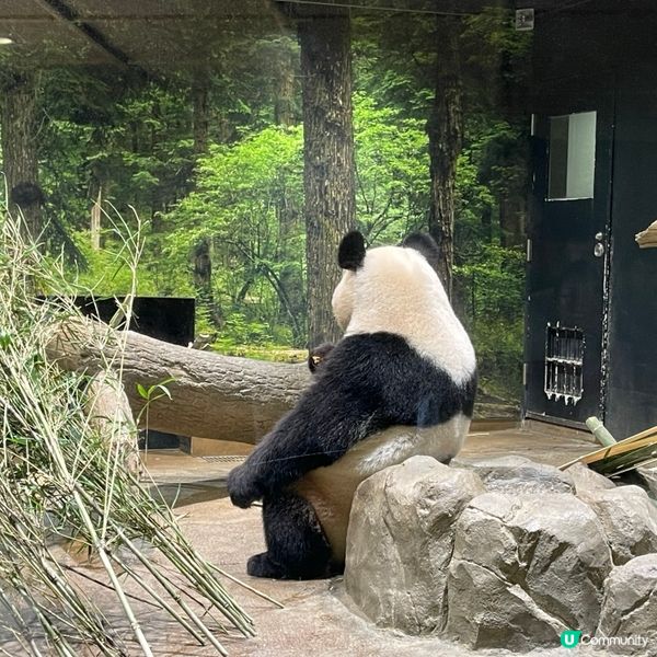 東京上野動物園