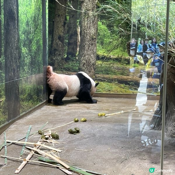 東京上野動物園