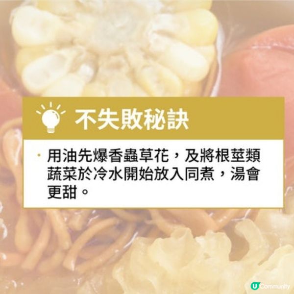 蟲草花粟米紅蘿蔔雪耳湯