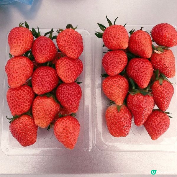 🍓🍓睇見就流口水😋😋