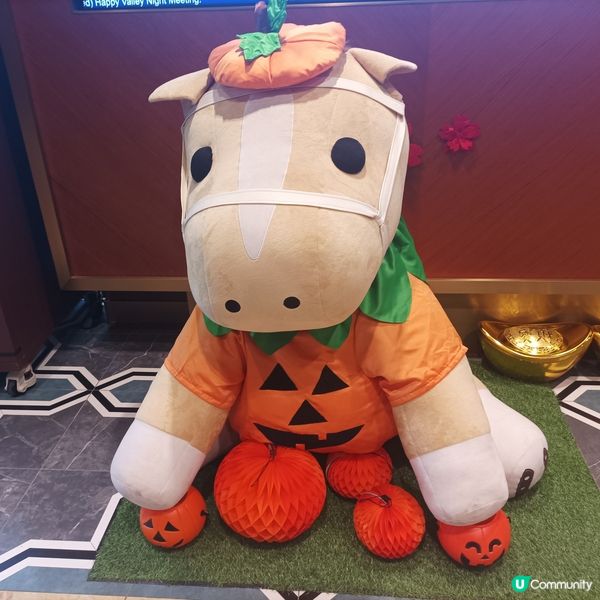 有衫著嘅馬仔🐴