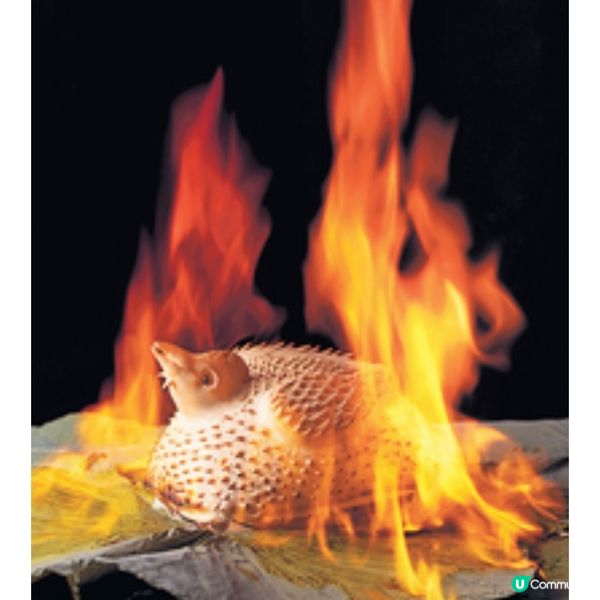 長沙柏悅酒店奢華之旅品嘗地道 湘粵美饌+夜生活體驗