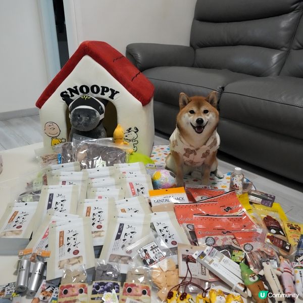 日本血拼寵物用品(零食,玩具,床,保暖衫)樣樣齊❗️