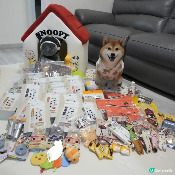 日本血拼寵物用品(零食,玩具,床,保暖衫)樣樣齊❗️