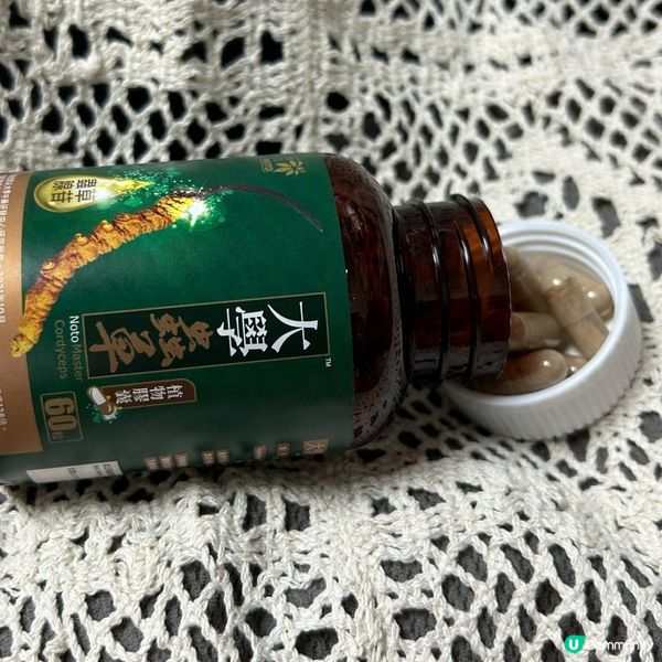 全家都岩的蟲草