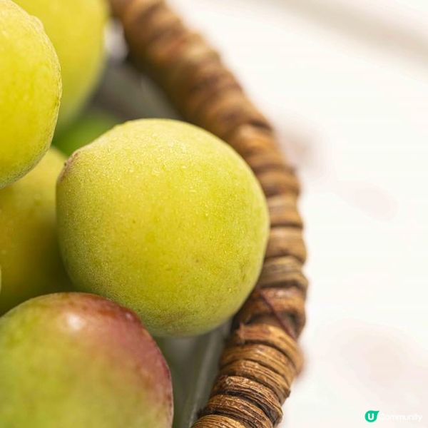 皊叄木 O Woodies店裡的日本酒到底有什麼區別？今天帶你瞭解！