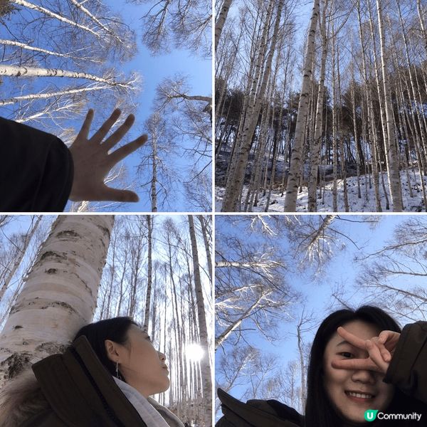 韓國的春夏秋冬