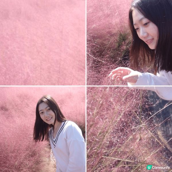 韓國的春夏秋冬