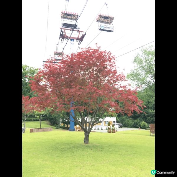 韓國的春夏秋冬