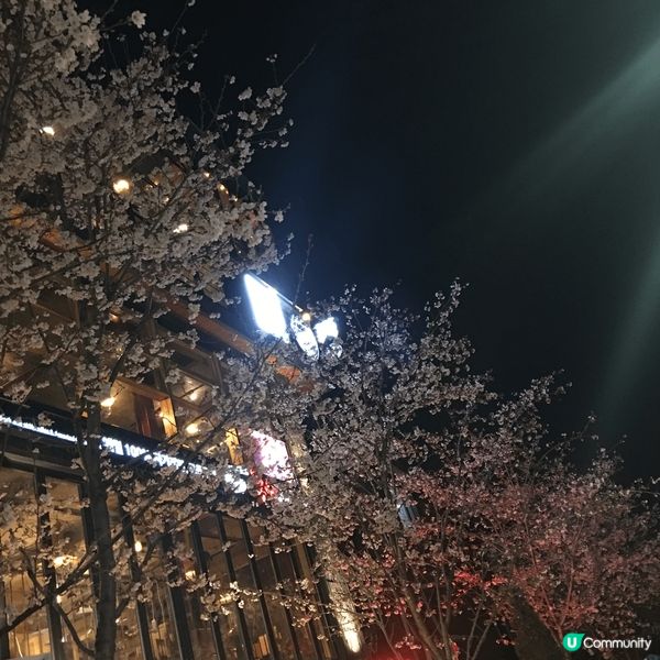 韓國的春夏秋冬