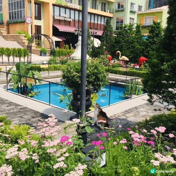 韓國的春夏秋冬