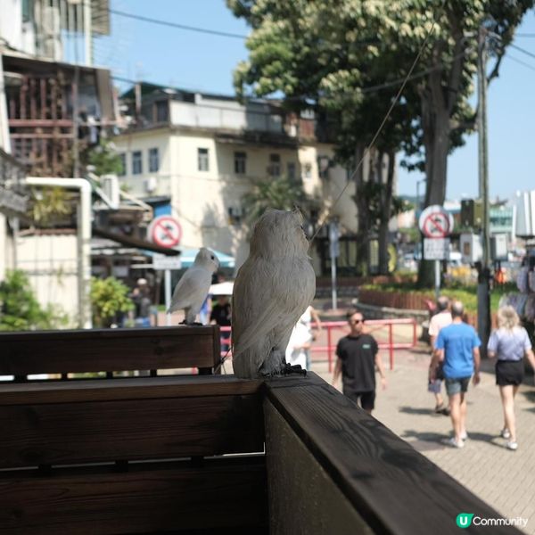 超人氣！3D立體拉花Café進駐西貢