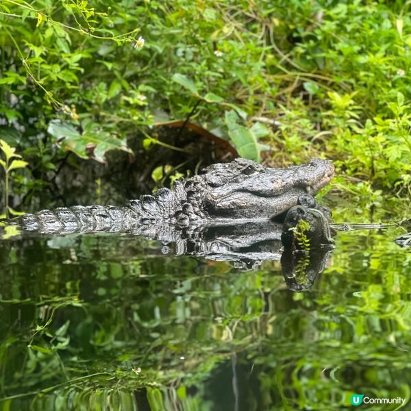 香港人生日必去景點