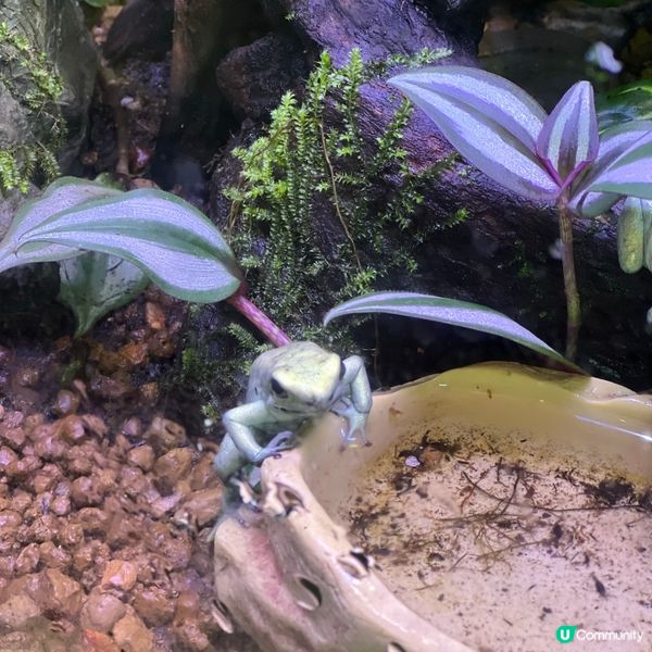 香港人生日必去景點