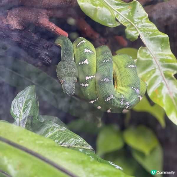 香港人生日必去景點