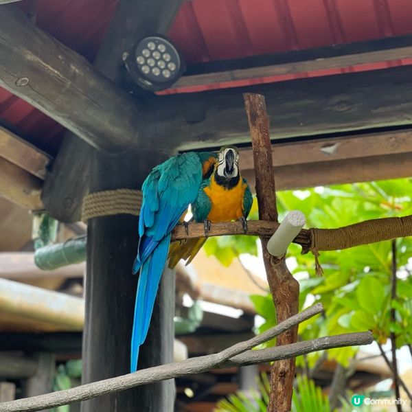 香港人生日必去景點