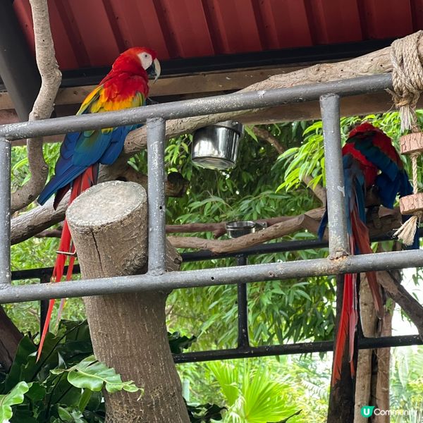 香港人生日必去景點