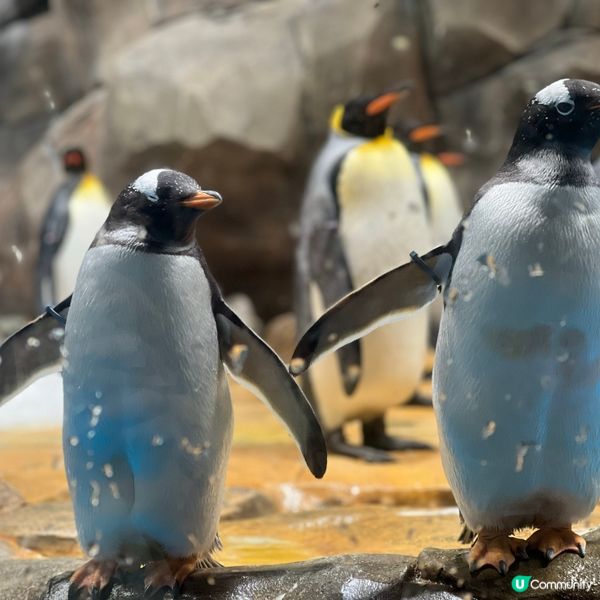 香港人生日必去景點