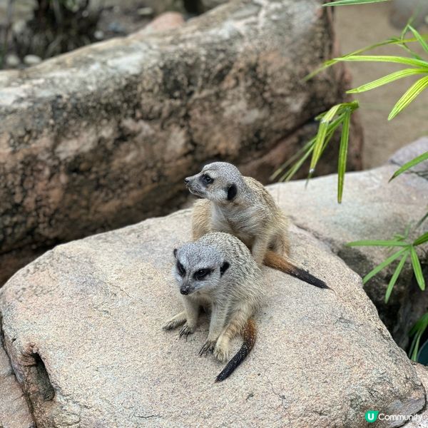 香港人生日必去景點
