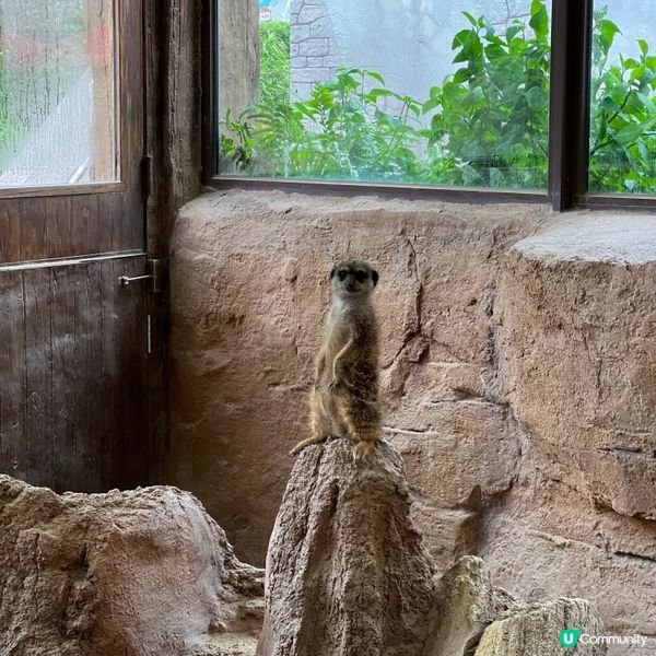 香港人生日必去景點