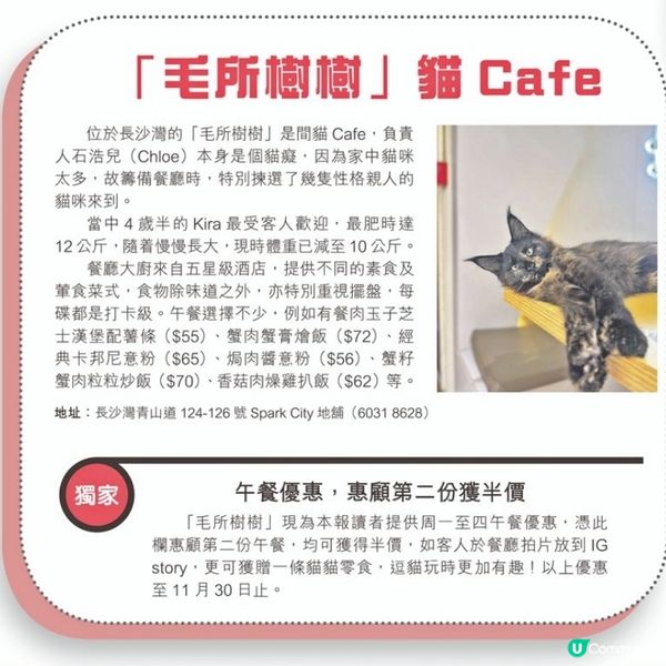「毛所樹樹」貓Cafe