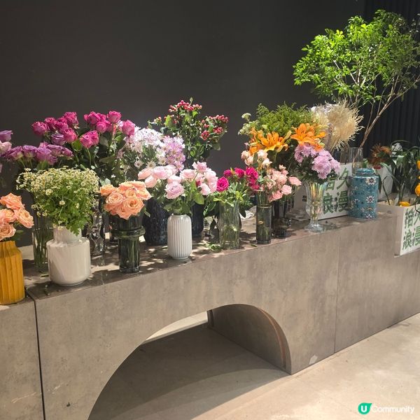 深圳探店 獅•拾久