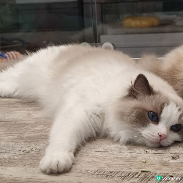 我想瞓多一陣啊！