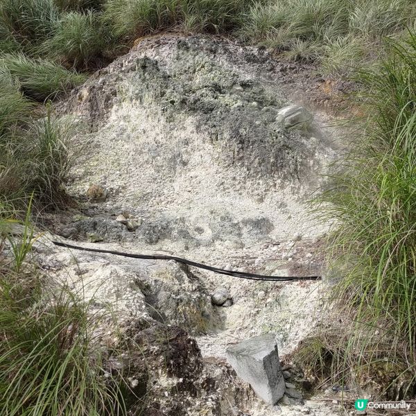## 台北陽明山必去景點小油坑🌋感受後火山活動😮