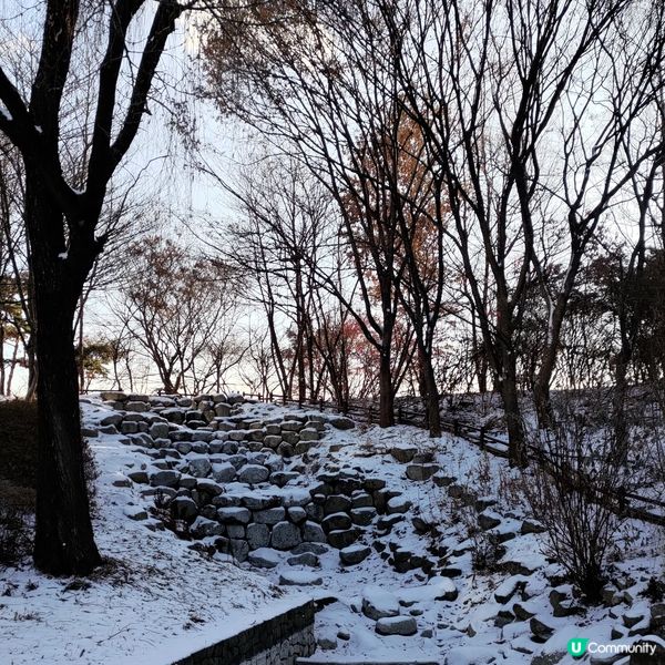 ## 韓國首爾林雪景打卡❄️好浪漫好有feel💜