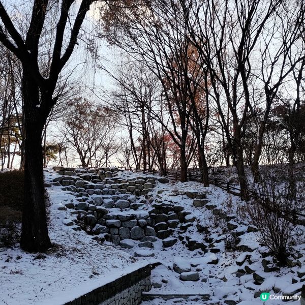 ## 韓國首爾林雪景打卡❄️好浪漫好有feel💜