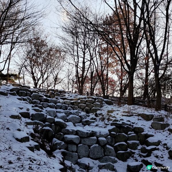 ## 韓國首爾林雪景打卡❄️好浪漫好有feel💜