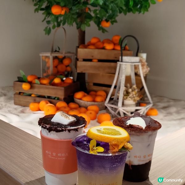 ## 九龍灣必去韓式Cafe🔥超大型柑橘樹打卡超靚💜
